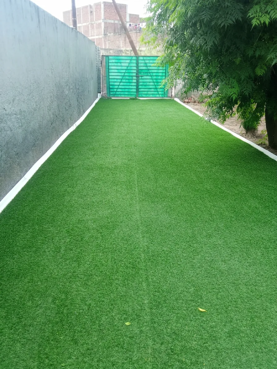 Pet boarding outdoor astroturf play area at Pet Home Affairs Sector 116 Noida